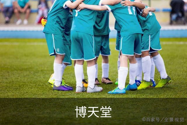 博天堂公司简介