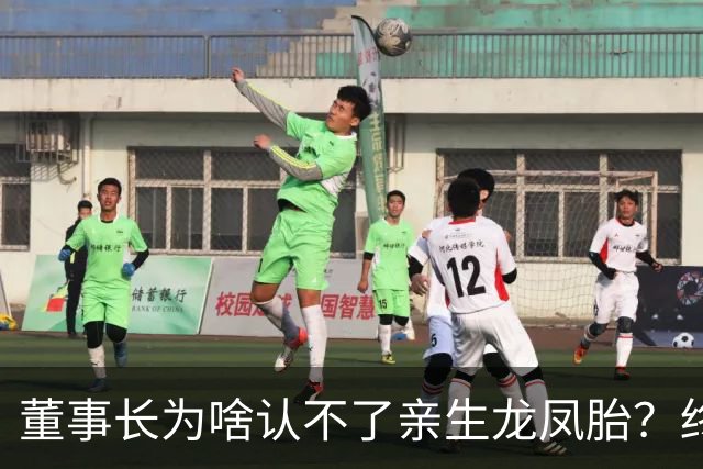 董事长为啥认不了亲生龙凤胎？终于真相大白！
